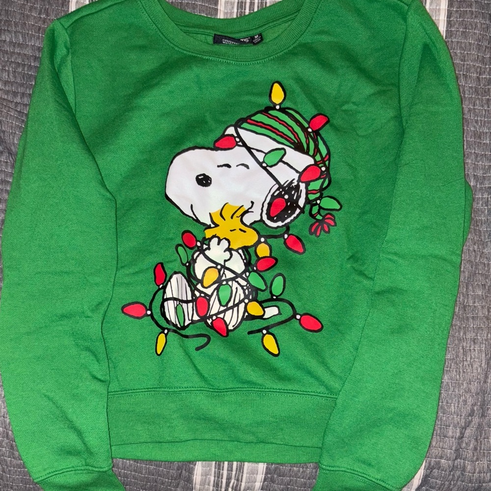 Peanuts Green Sweater with Snoopy and Woodstock
****reposhing. Runs small ****